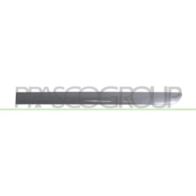 Afbeelding van Sier / beschermingspaneel, deur PRASCO VG0401464