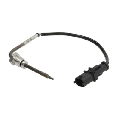 Afbeelding van Sensor, uitlaatgastemperatuur DELPHI TS30066