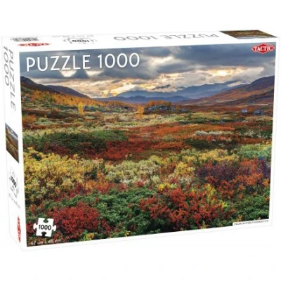 Afbeelding van Puzzel Around the World Northern Stars: Indian Summer in Norrbotten 1000 stukjes