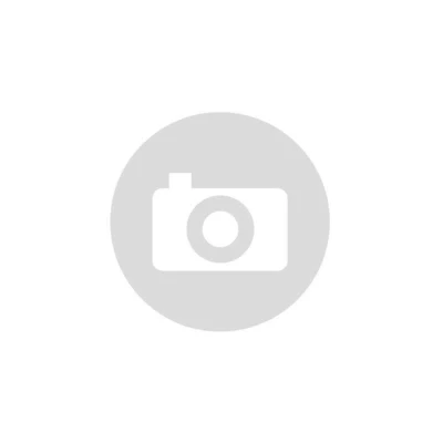 Afbeelding van BGS 67157 Magneetschroevendraaier houder