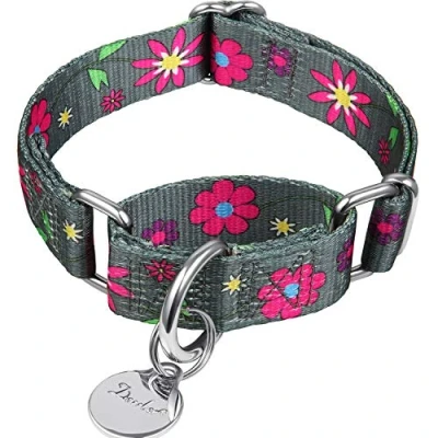 Afbeelding van Dazzber Martingale Halsbanden voor Honden Zachte Verstelbare Halsband, Duurzame D ring Heavy Duty, Choke Collar Grote Middelgrote Kleine (Medium, 2,5 cm breed, Grafietgrijs en Zonnebloem)