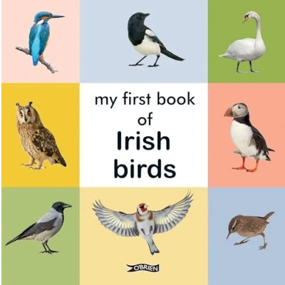 Afbeelding van My First Book of Irish Birds