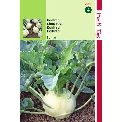Afbeelding van 2 stuks Hortitops Koolrabi Lanro