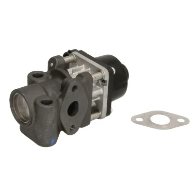 Afbeelding van Wahler EGR klep 711024D