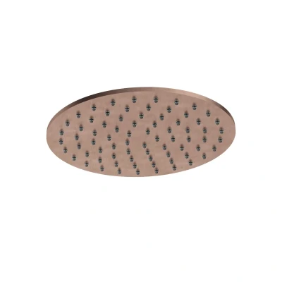 Afbeelding van HotBath Archie Hoofddouche 200 mm Geborsteld Koper PVD AR100BCP