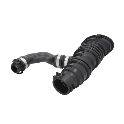 Afbeelding van Thermotec Inlaatslang /pijp luchtfilter DCG090TT