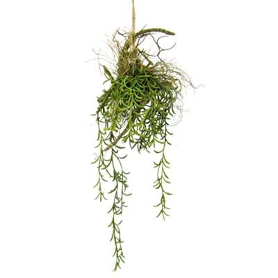 Afbeelding van I.GE.A. Kunstplant Tillandsia (1 stuk)