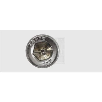 Afbeelding van SWG Inbusschroeven M6 16 mm Binnenzeskant (inbus) DIN 912 RVS A2 50 stuk(s)