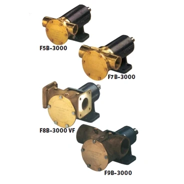Afbeelding van Johnson pump impellerpomp f8b 3000tss 279l/min voetmontage (met mechanical seal &amp; rvs deksel)