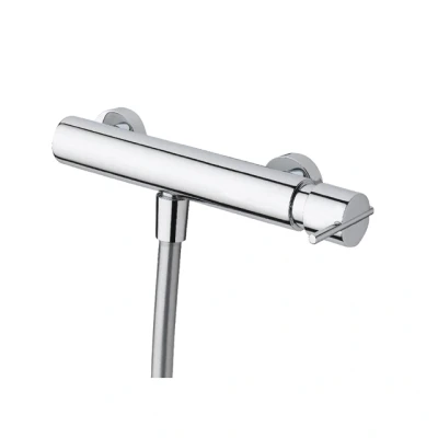 Afbeelding van Waterevolution S22 douche thermostaatkraan met handdoucheset opbouw RVS T440TIE