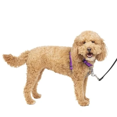 Afbeelding van PetSafe 3 in 1 harnas en autobeperking, klein, pruimenvrij, verstelbaar, training voor kleine, middelgrote grote honden