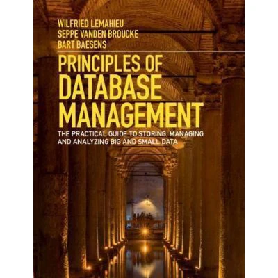 Afbeelding van Principles of Database Management: The Practical Guide to Storing, Managing and Analyzing Big Small Data