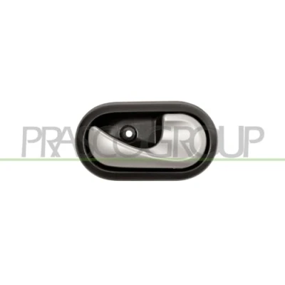 Afbeelding van Handgreep, interieur PRASCO DA2208607