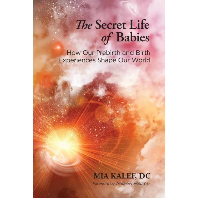 Afbeelding van The Secret Life of Babies: How Our Prebirth and Birth Experiences Shape World