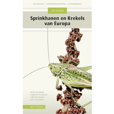 Afbeelding van Veldgids Sprinkhanen en krekels van Europa (Paperback)