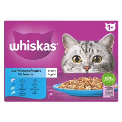 Afbeelding van Whiskas Pouch Junior Gelei Vis Selectie 24 x 85 gr