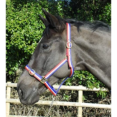 Afbeelding van Rhinegold Nylon Halster Cob Rood/Wit/Blauw