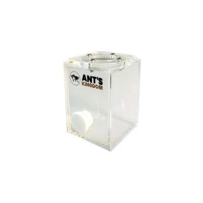 Afbeelding van Mini insecten verblijf, 5x5x7