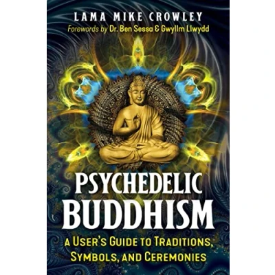 Afbeelding van Psychedelic Buddhism: A User&#039;s Guide to Traditions, Symbols, and Ceremonies