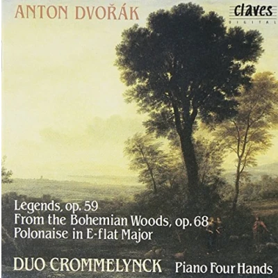 Afbeelding van Dvorak: Works for Piano 4 hands Vol 1 / Crommelynck Duo