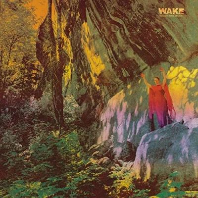 Afbeelding van Wake Thought From Descent (CD)