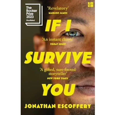 Afbeelding van If I Survive You