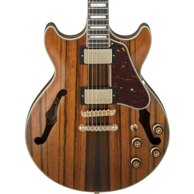 Afbeelding van Ibanez AM93ME NT Artcore Expressionist