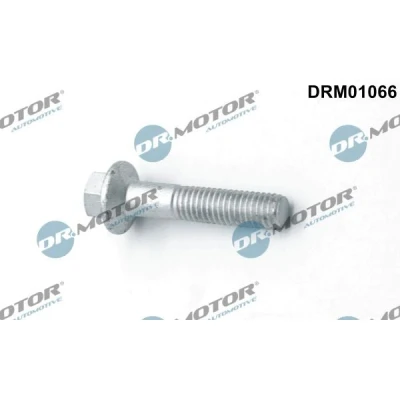 Afbeelding van Schroef, inspuitstukhouder Dr.Motor Automotive DRM01066