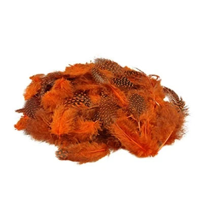 Afbeelding van Netuno 150 stuks decoratieve veren oranje 6g pluisveren voor doe het zelf knutselen Pasen Kerstmis