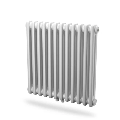 Afbeelding van Radson Delta kolomradiator 10 elementen met bevestiging 399 Watt
