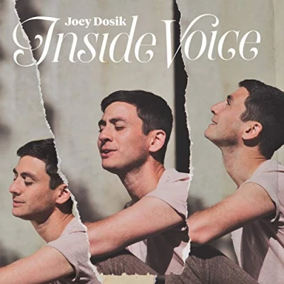 Afbeelding van Joey Dosik Inside Voice (CD)