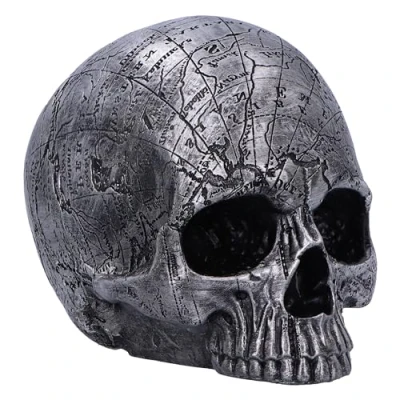Afbeelding van Nemesis Now Mind Map 15cm Beeld/figuur Schedel Zilverkleurig