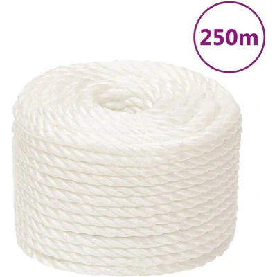 Afbeelding van vidaXL Werktouw 10 mm 250 m polypropeen wit