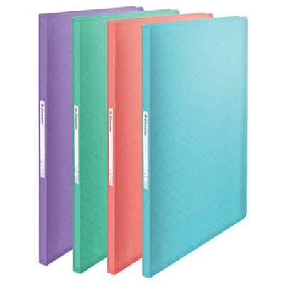 Afbeelding van Esselte A4 Showalbum met 60 Hoezen, Capaciteit van 120 Vellen, Voor Het Presenteren en Bewaren Documenten, Thuis op Kantoor, Reliëfpatroon, Colour&#039;Breeze, Diverse Kleuren, 626234