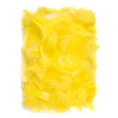 Afbeelding van Netuno 150 stuks gele decoratieve veren, 10 g, pluisveren, sierveren, vogelveren, knutselveren, natuur voor doe het zelf knutselen, decoratie, Pasen, Kerstmis, decoratiefiguur