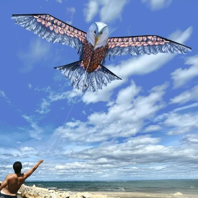 Afbeelding van 3D adelaar vlieger Eagel Kite