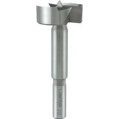 Afbeelding van Alpen 0023601200100 Forstnerboor 12 mm Gezamenlijke lengte 90 1 stuk(s)