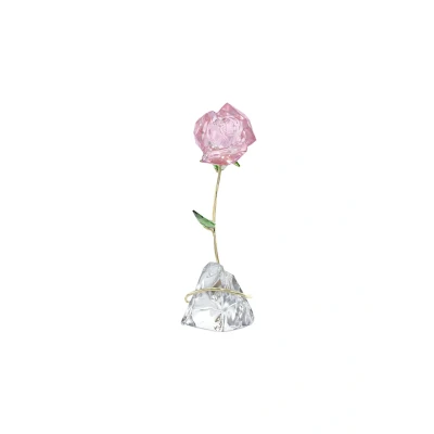 Afbeelding van Swarovski Florere Roos