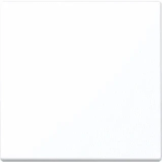 Afbeelding van Jung ls range bedieningselement 1 toets afdekking voor dimmer en jaloezieschakelaar gelakt duroplast mat wit ls1700wwm