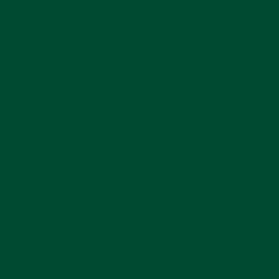Afbeelding van plottiX Perm. Vinylfolie 31,5cm x 1m donkergroen