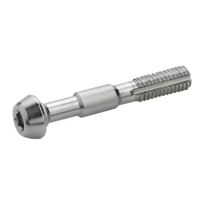 Afbeelding van Elvedes Hydro bleedbouten rvs 10 stuks elv2012103
