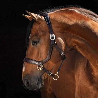 Afbeelding van Rambo Micklem Halster Bruin XFull