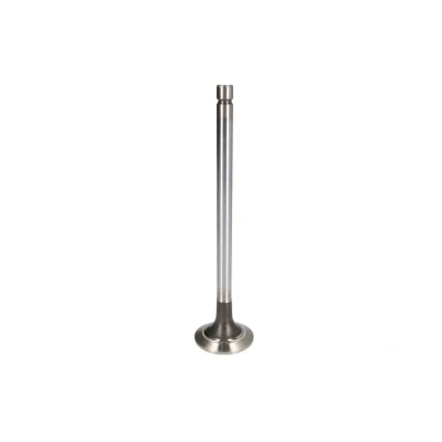 Afbeelding van TRW Engine Component Uitlaatklep 105 35659