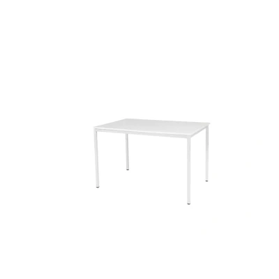 Afbeelding van Domino Basic bureautafel, vaste hoogte met 120x80cm licht grijs 25mm blad en wit (RAL9010) 4 poot frame