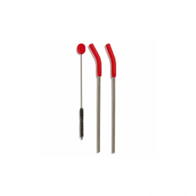 Afbeelding van Hydro Flask Stainless Steel Straw Set Goji Waterfles accessoires