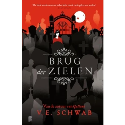Afbeelding van Brug der zielen (Hardback)