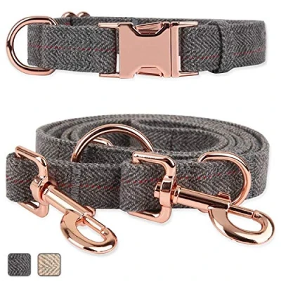 Afbeelding van Runwing Rose Gold Hondenhalsband + Hondenriem (2m) Set Uitzonderlijk Elegant &amp; Verstelbaar 3 verstelbare lengtes Zacht en gemakkelijk te reinigen (grijs 2m; S (11&quot; 15,7&quot;)