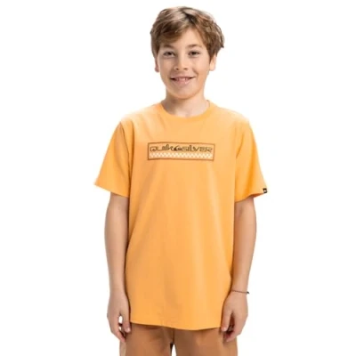 Afbeelding van Quiksilver SUN Dagger Tshirt print voor kinderen, Maat: 140, Orange