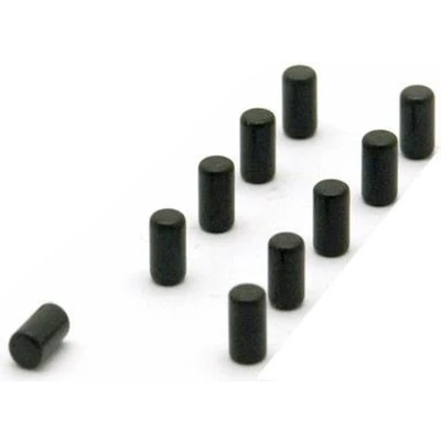 Afbeelding van Trendform Magneet Magnum Set Van 10 Cilinder Zwart 0,7x0,4cm