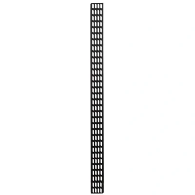 Afbeelding van DSIT 32U verticale kabelgoot 10 cm breed netwerkkabel